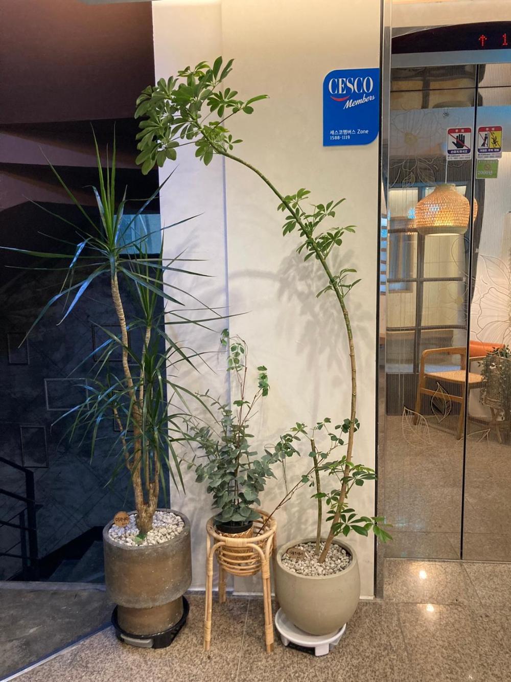 Hotel Less Seoul Eksteriør billede